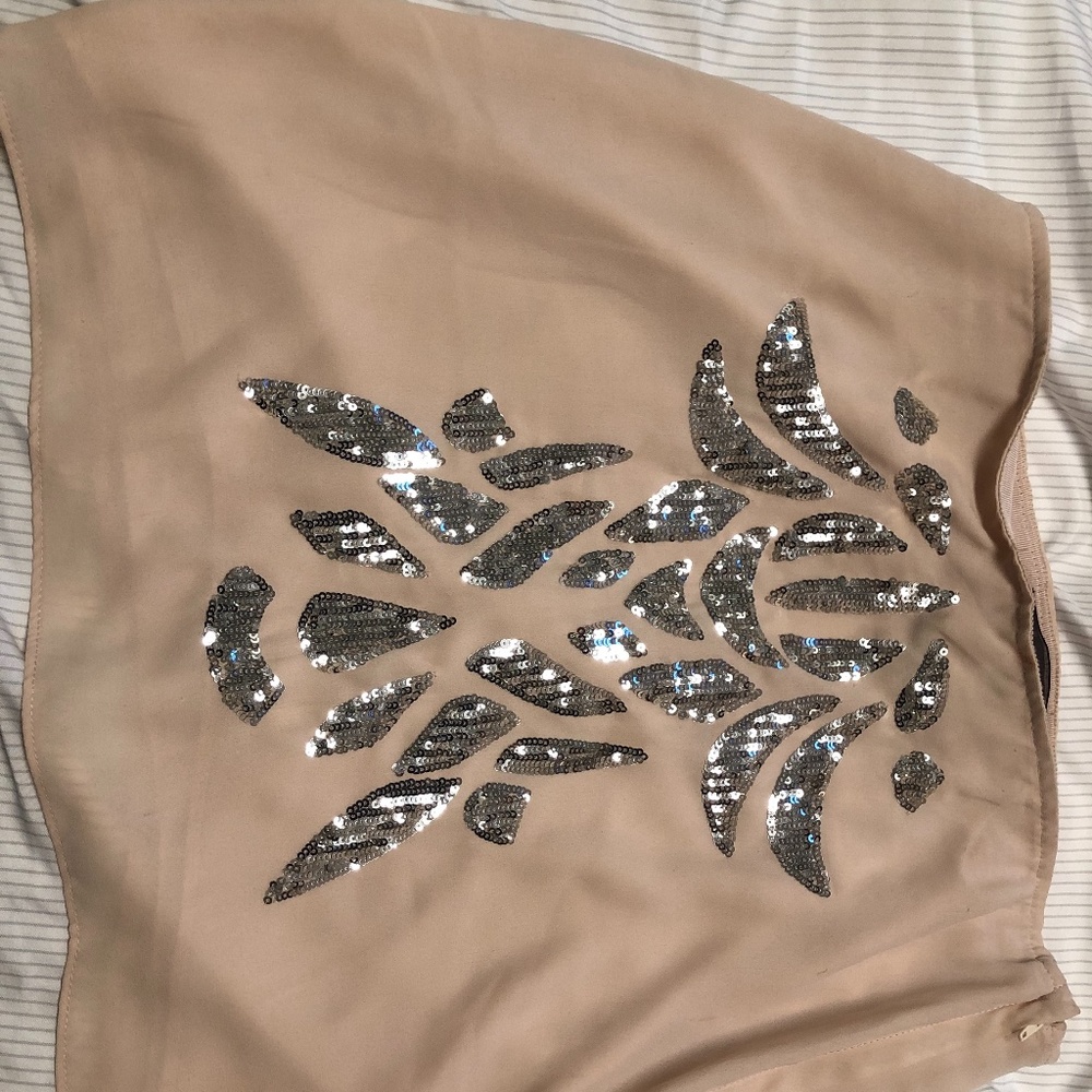 H&M Embroidered Sequin skirt